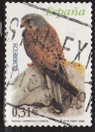 z vendido España 2008 4377 Sello º Serie Flora y Fauna Aves Pájaros Cernicalo comun Timbre Espagne Spain Spagna
